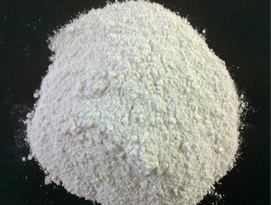 中国P站破解版官网